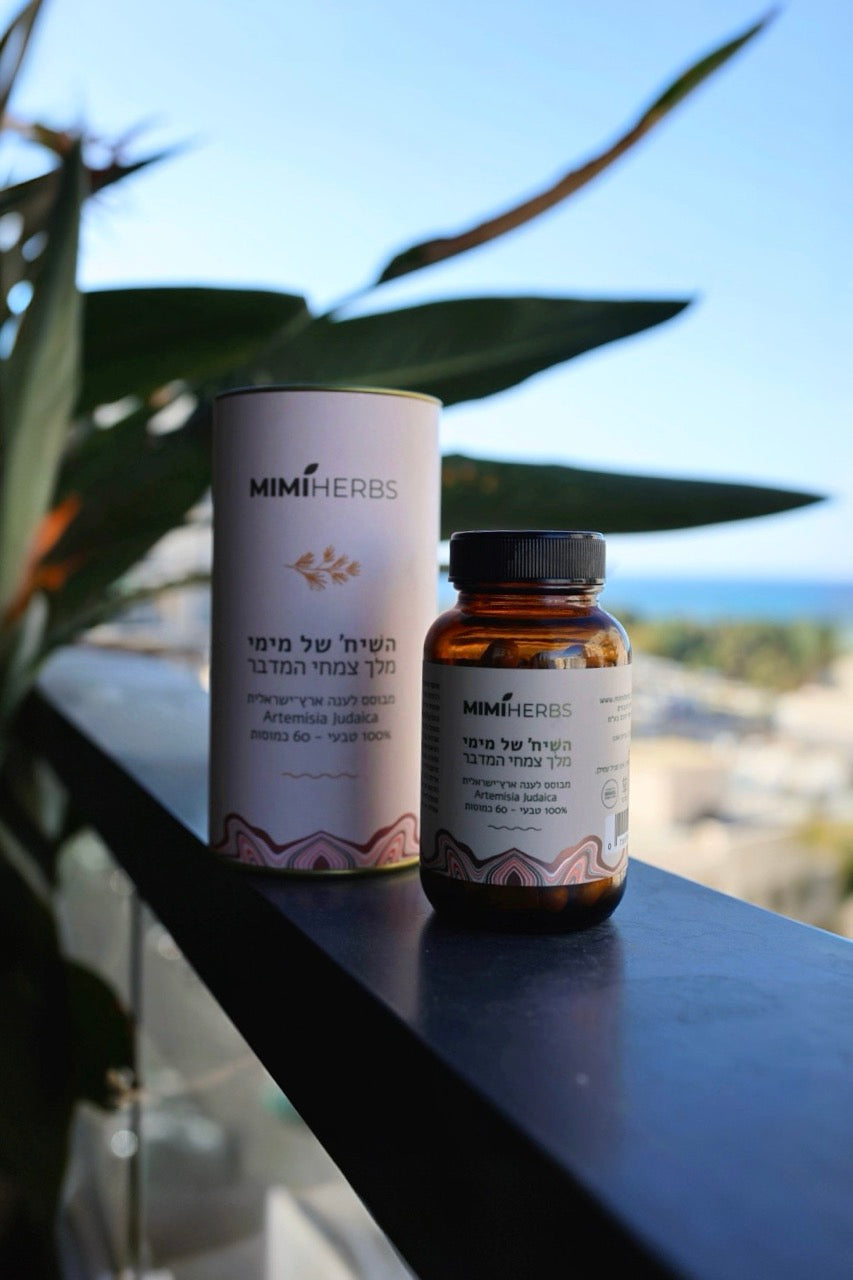 השִׂיח׳ של מימי מלך צמחי המדבר