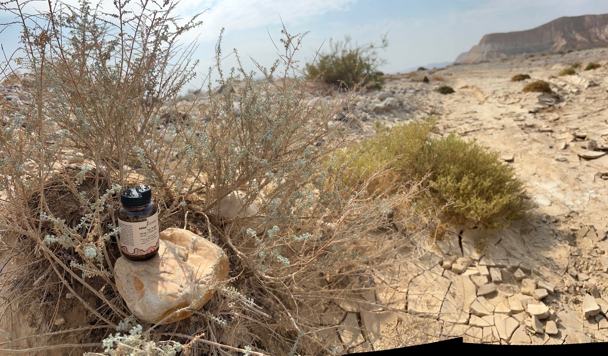 לענת יהודה ,נחל  פארן נובמבר 2025